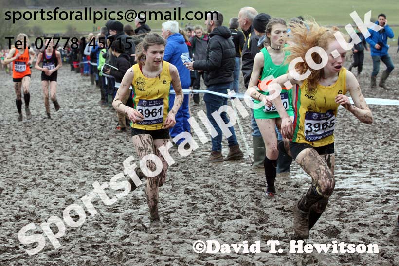 Girls under-15s 2018 British Inter Counties Cross Country Champs., Prestwold Hall, Loughborough. Photo: David T. Hewitson/Sports for All Pics
